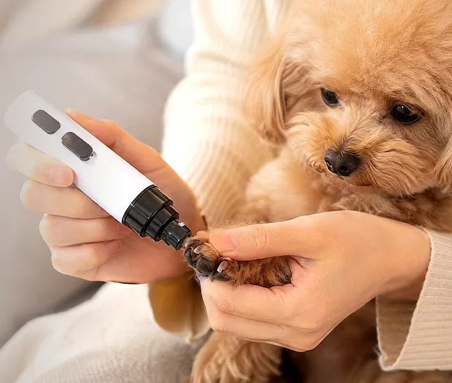 Owner holding a small dog's paw while using a white SilentTrim nail grinder at home